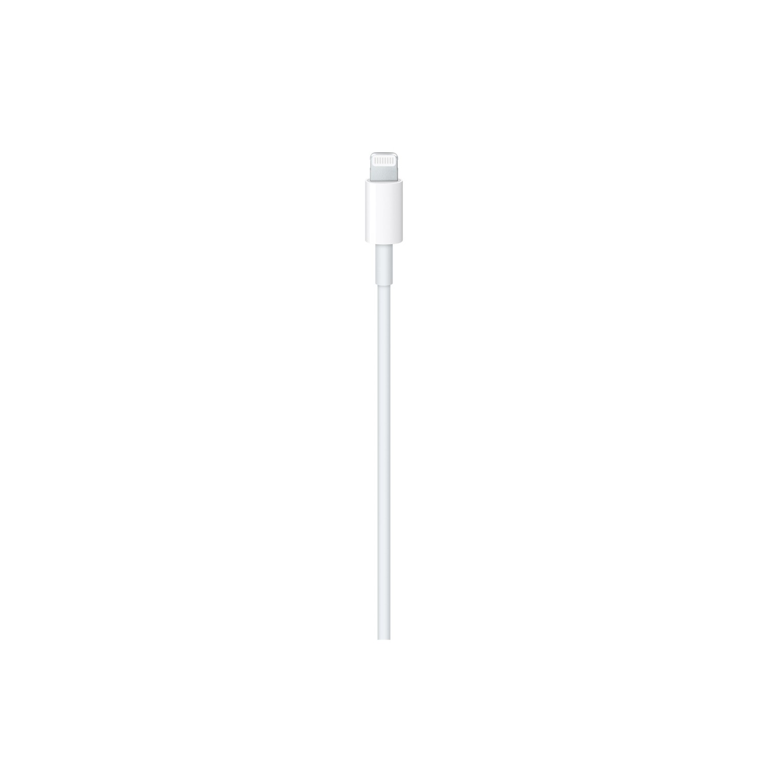 Vendita online COMPUTING APPLE CABLE USB-C TO LIGHTNING 2M MQGH2ZM/A costo  11,77 €  spedizione in 24h-48h pagmamento PayPal Contrassegno