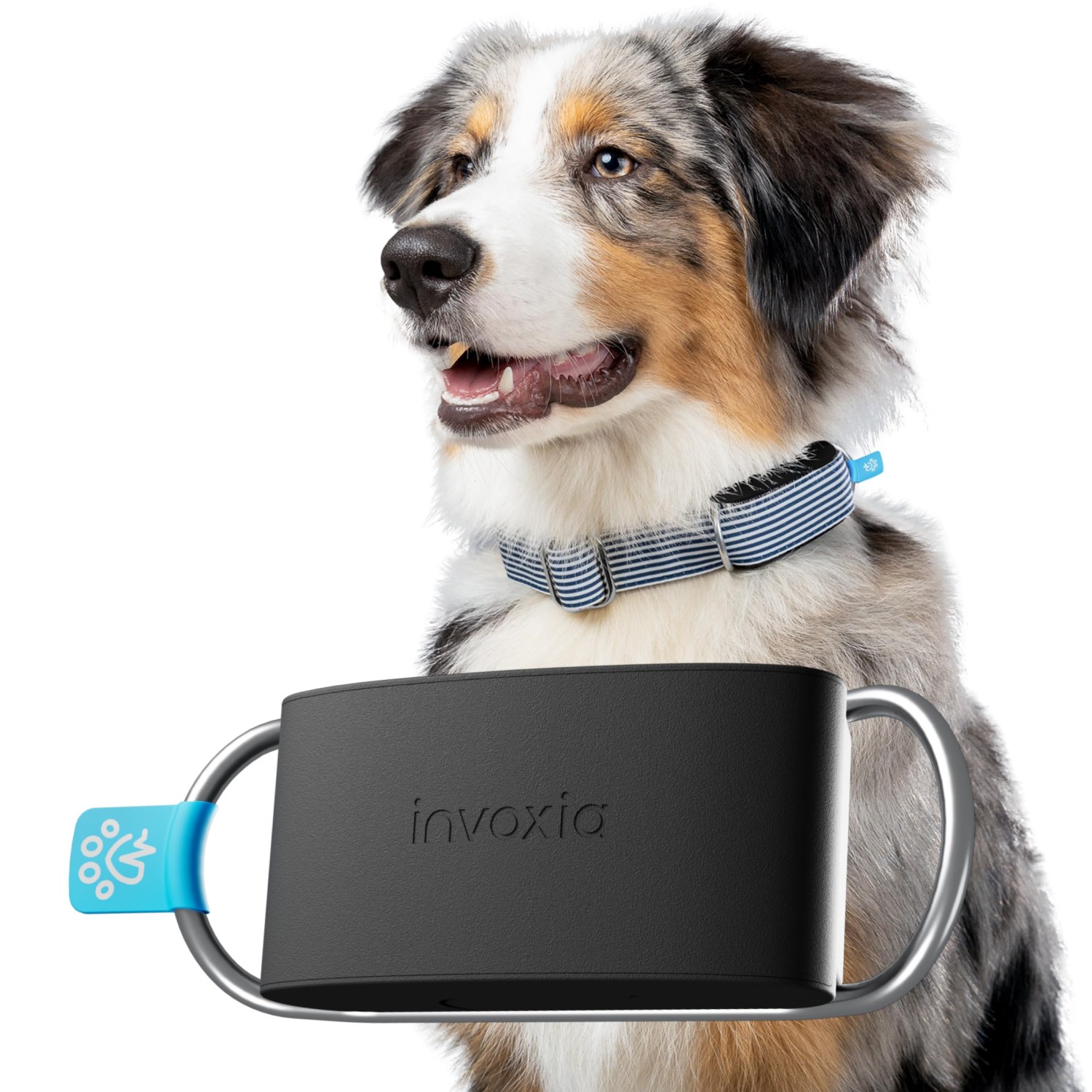 Vendita online HOME AND ECOSYSTEM INVOXIA MINI TAILZ HEART MONITOR LWT6 (WITH 1 YEAR SUBSCRIPTION) costo  €138.75  spedizione in 24h-48h pagmamento PayPal Contrassegno
