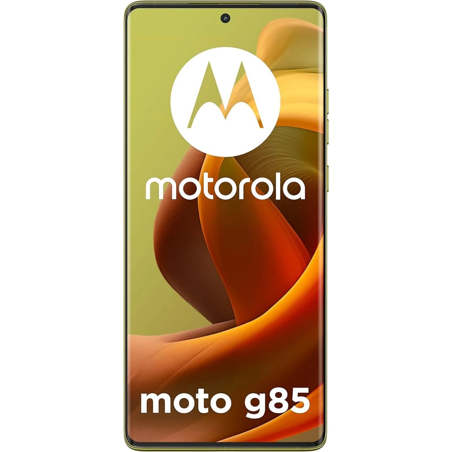 Vendita online Telefonia Motorola G85 12+256GB Olivine 5G costo  249,99 €  spedizione in 24h-48h pagmamento PayPal Contrassegno