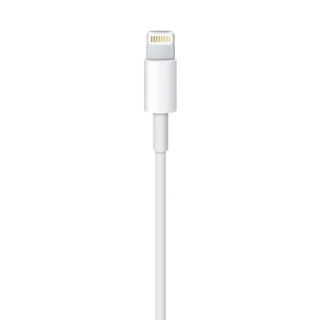 APPLE CABLE LIGHTNING TO USB 2M MD819ZM/A
